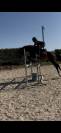 Poney de sport hors côte