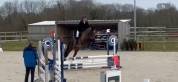 Cheval hongre SF