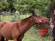 Ponette ONC 2 ans 