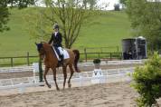 Cheval de dressage 