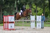 Cheval 13 ans CSO AMATEUR
