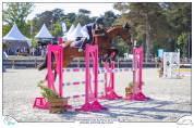Cheval 13 ans CSO AMATEUR