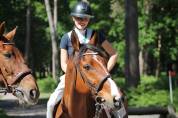 Cheval 13 ans CSO AMATEUR