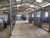 Propriété équestre