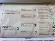 Potranca PRE Pura Raza Española En venta 2025 Bayo