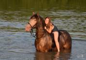 Dekhengst Quarter Horse Te koop 2016 Champagne