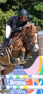 À vendre Hongre 7ans par Very Star Kerveyer 