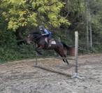 Top jument 6 ans