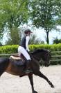 Mare Swiss Half Blood For sale 2012 Dark Bay