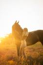 Mare Swiss Half Blood For sale 2012 Dark Bay