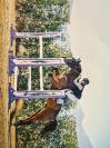 TOP CHEVAL A VENDRE 