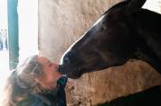 Hongre 11 ans super gentil