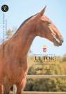 ULTOR LZY - PSL