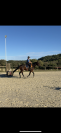 Trotteur 4ans 