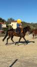 Trotteur 4ans 