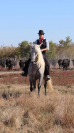 Cavaliere & Monitrice