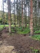 Pension Pr&eacute;s/Boxe - 27320 Nonancourt 