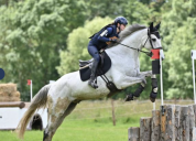 Hongre - SF - 11 ans - CCE