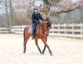 Hispano/arabe 