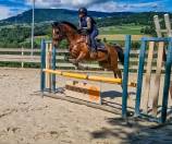 Hispano/arabe 