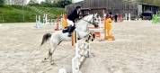 Jument de Sport - CCE CSO Dressage