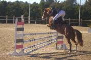 Buena - Pony in vendita 
