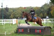 Hongre 11 ans cce dressage cso