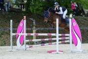 Poney à vendre ou à louer