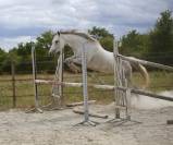 Epona du rheu
