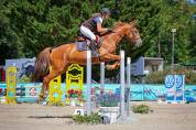 Mare Origin Recorded For sale 2021 Chesnut