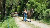 Mare Origin Recorded For sale 2018 Black