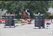 Super cheval d’amateur 