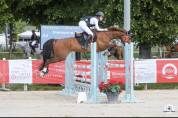 Super cheval d’amateur 