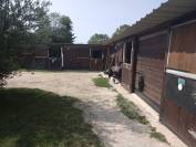 Pension chevaux - Écurie du lys - Belhomert Guéhouville