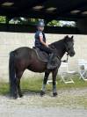 Poney c cso