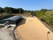 &Eacute;curie de la sanade