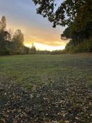 &Eacute;curie de la sanade