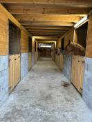 &Eacute;curie de la sanade