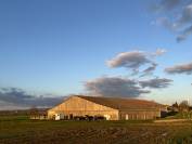 Pension chevaux dans écurie western et loisirs 