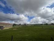 Pension chevaux dans écurie western et loisirs 