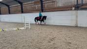 Syrius 3 ans 
