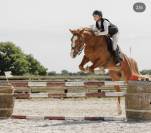 Poney D sport 