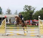 Poney D sport 