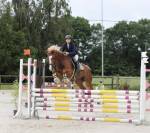 Poney D sport 