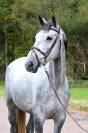 KOBALT DU BIGACHON