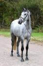 KOBALT DU BIGACHON