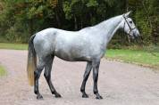 KOBALT DU BIGACHON