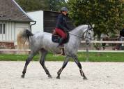 KOBALT DU BIGACHON