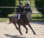 Ponette C