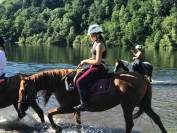 Jument alezane origine Arabe